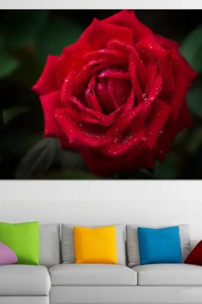 Kraljevska Ruža - slika na platnu