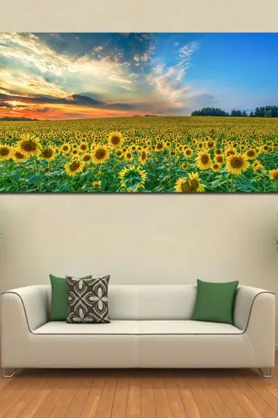 Polje Sunca - slika na platnu