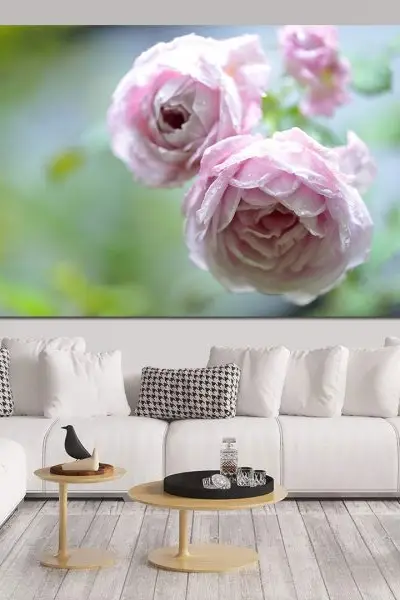 Roze Ruže u Magli - slika na platnu