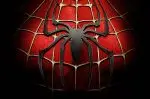 Spiderman 019 – sa ramom
