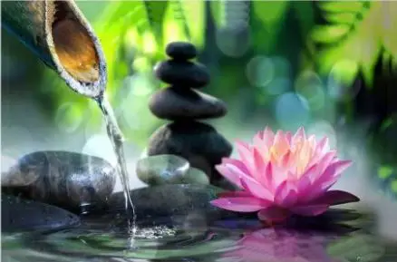 Zen Izvor Prirode – sa ramom