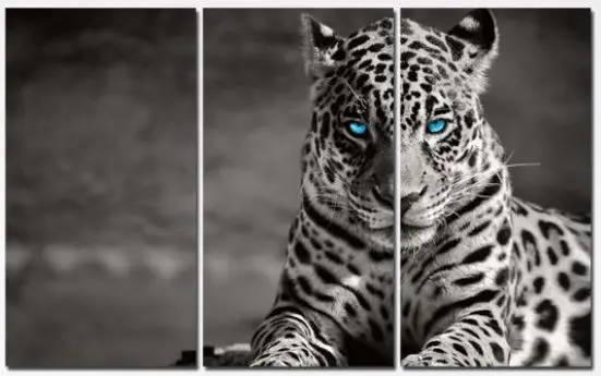 Ledene Oči Leoparda – 3 dela – sa ramom