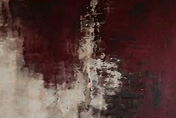 Bordo Alhemija – sa ramom