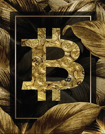 Zlatni Bitcoin – Simbol Moći – sa ramom