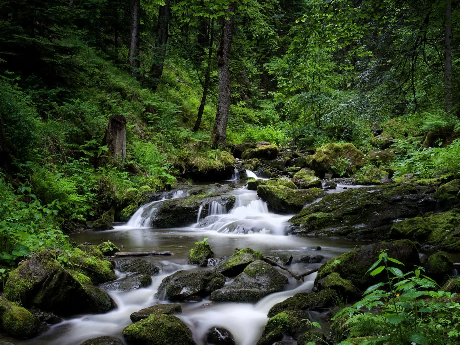 Šumski Vodopad – sa ramom
