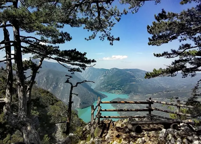Vidikovac Tare – sa ramom