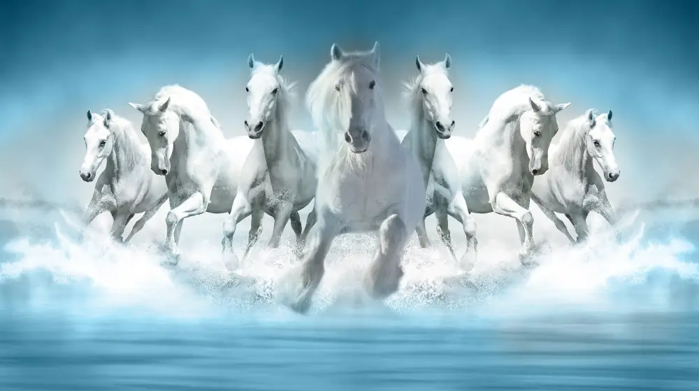 Nebeski Galop – sa ramom