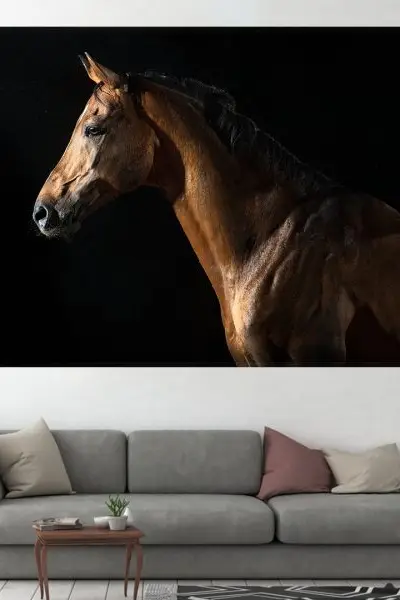 Senka Plemstva - slika na platnu